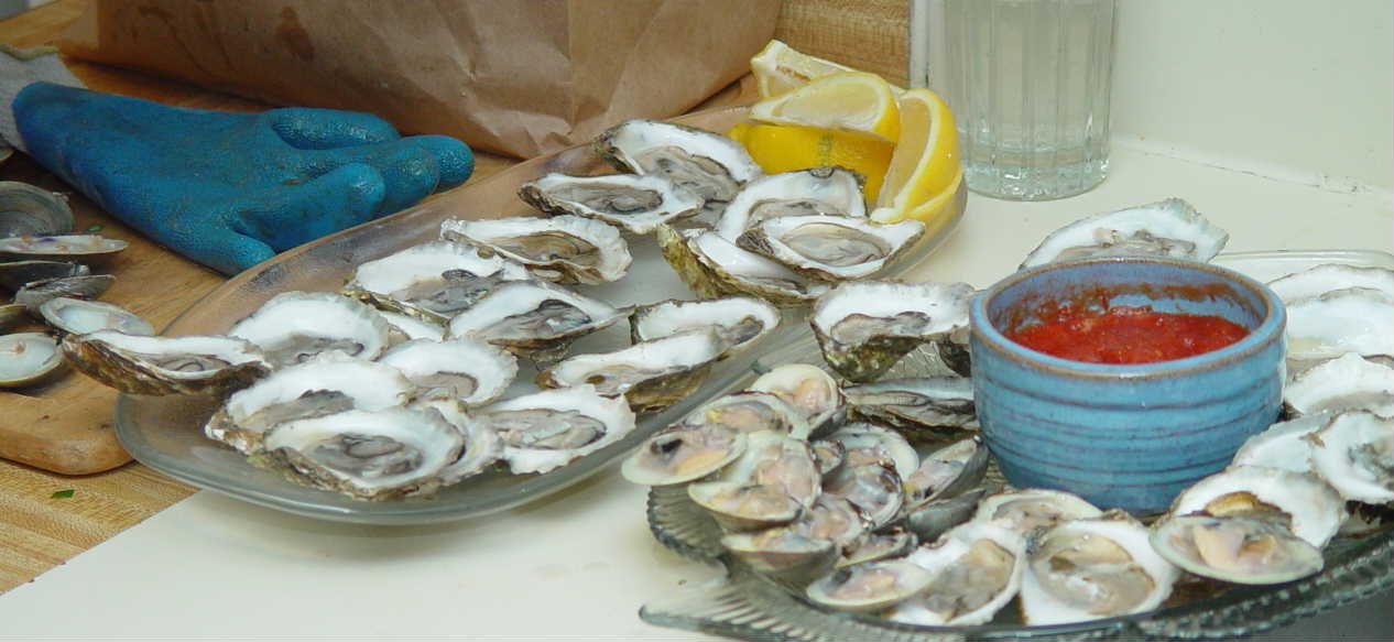 oysters and clams on plates